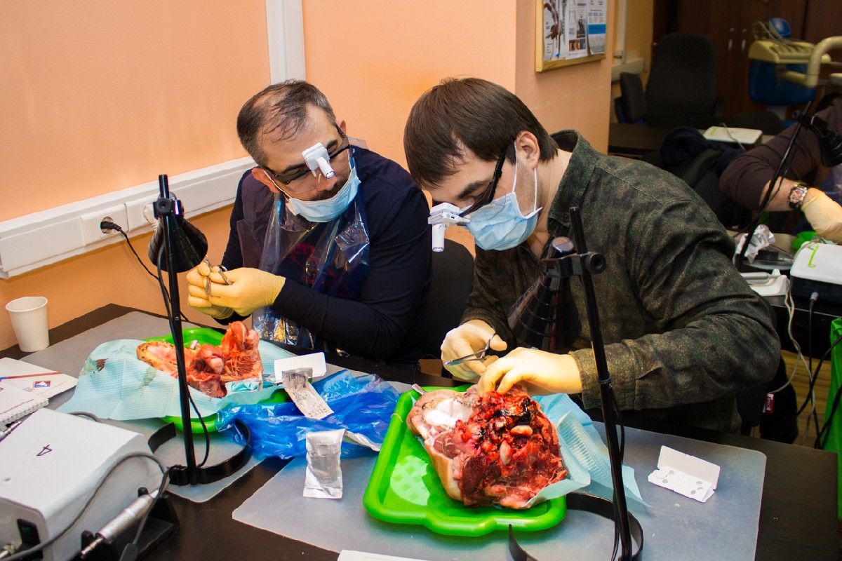 20-21 февраля 2020. Панцулая В.Г. Пластика мягких тканей вокруг имплантатов. Морфологический подход