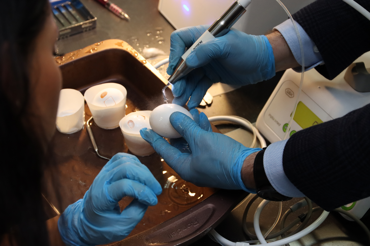 Продвинутый курс по имплантации. Костная пластика