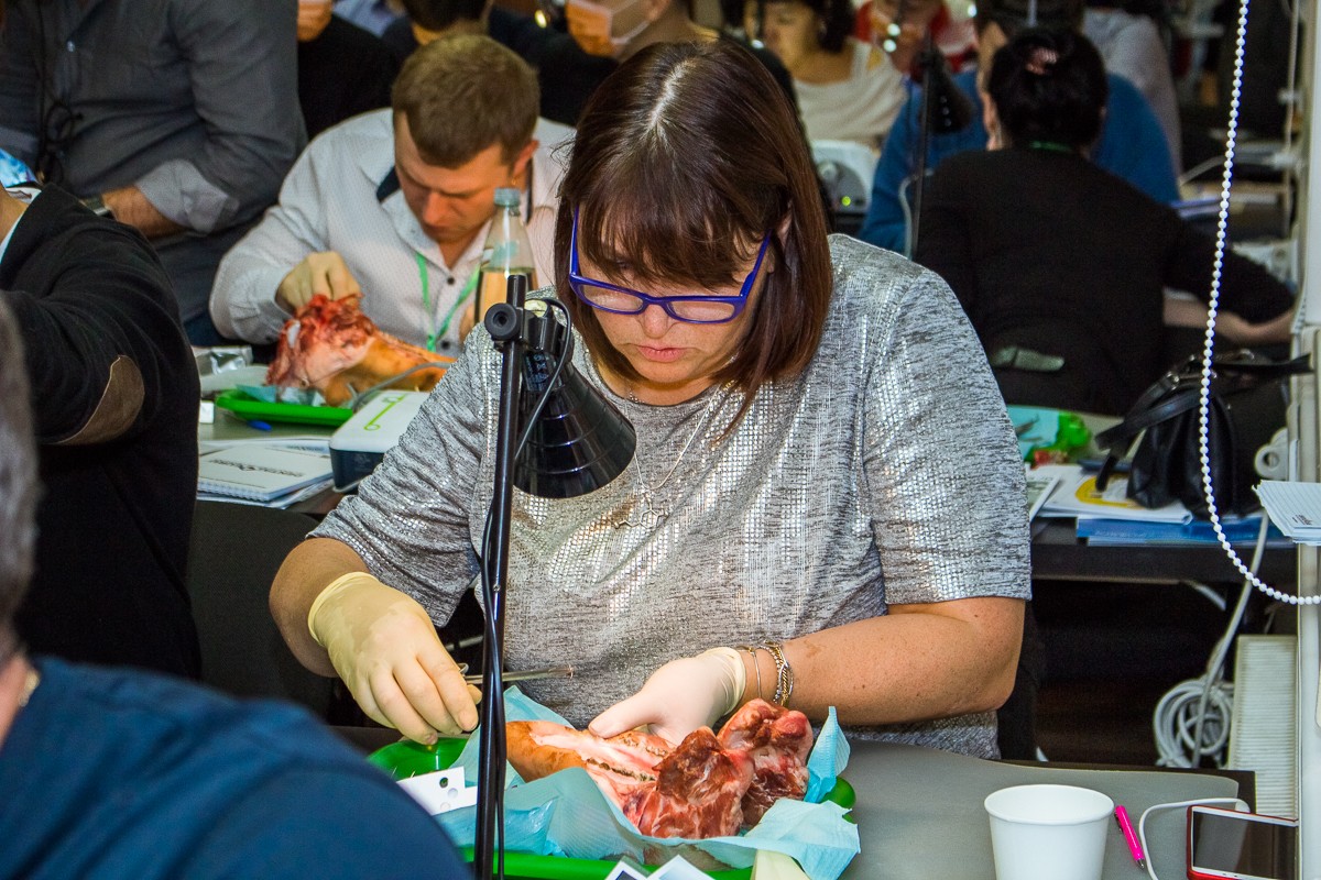 Эксклюзивный мастер-класс Ховарда Глюкмана 18 октября