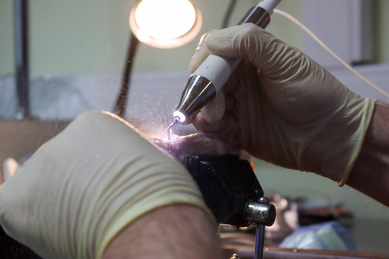 Продвинутый курс по имплантации. Костная пластика и синус-лифтинг