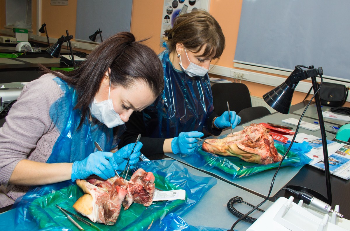 13-14 ноября. Хирургический курс по пародонтологии. Ерохин А.И.