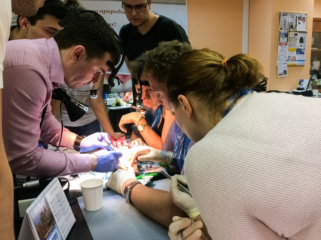 Пластика мягких тканей вокруг имплантатов. Морфологический подход