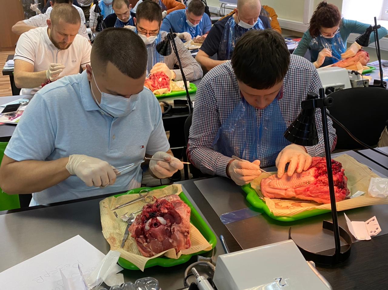 Пластика мягких тканей вокруг имплантатов. Морфологический подход