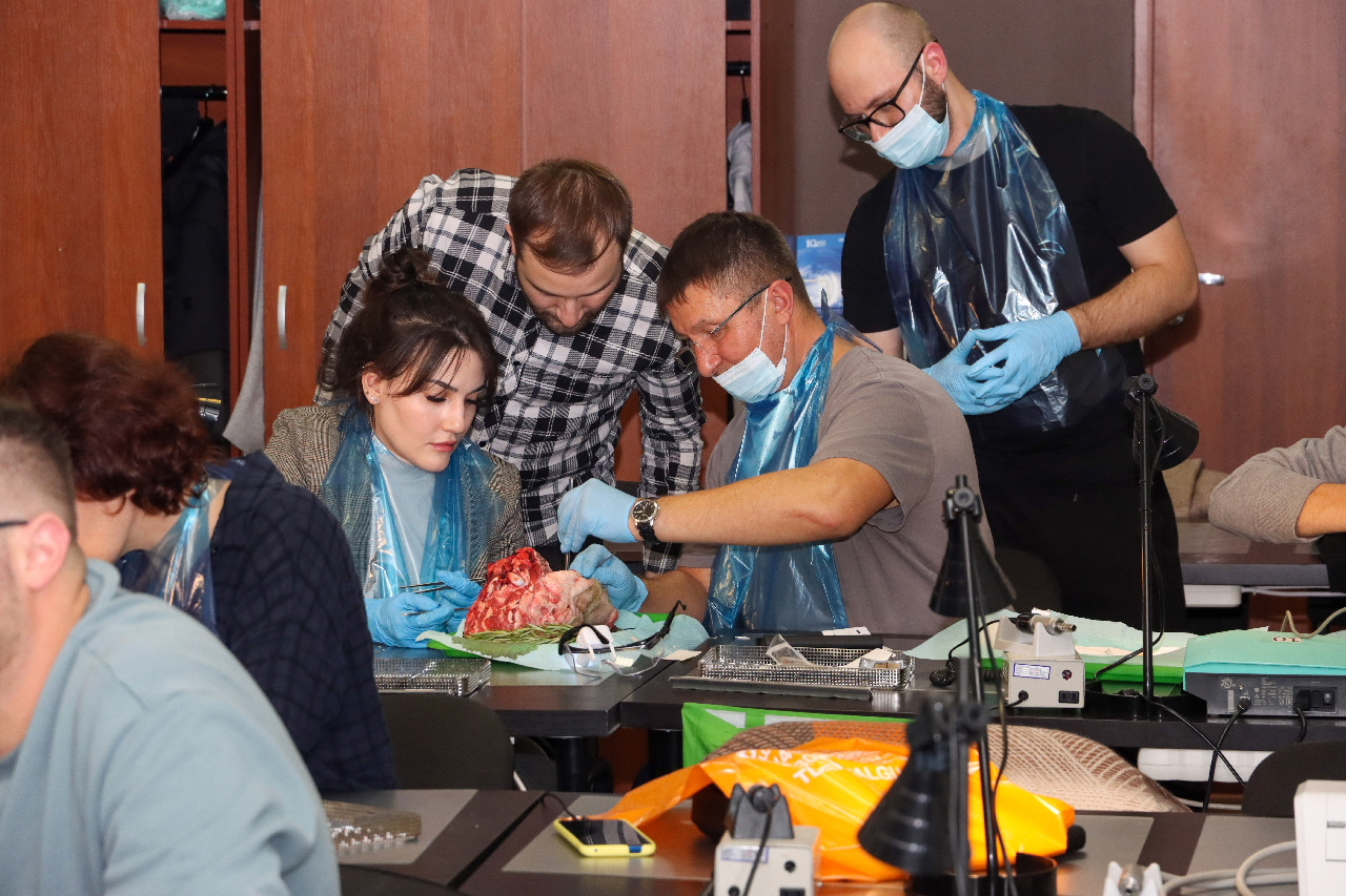 Пластика мягких тканей вокруг имплантатов. Морфологический подход. Пост-релиз 15-16 сентября