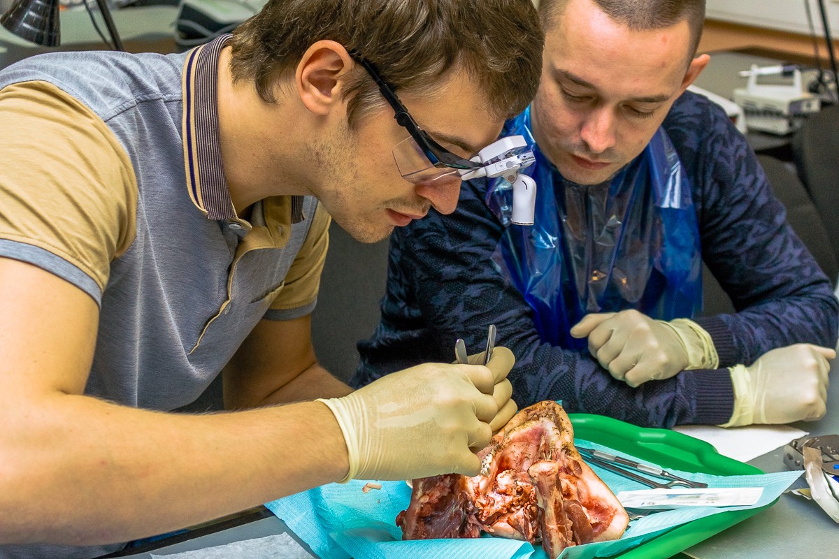 Пластика мягких тканей вокруг имплантатов. Морфологический подход - курс Виталия Панцулаи в УЦ Дентал Гуру.