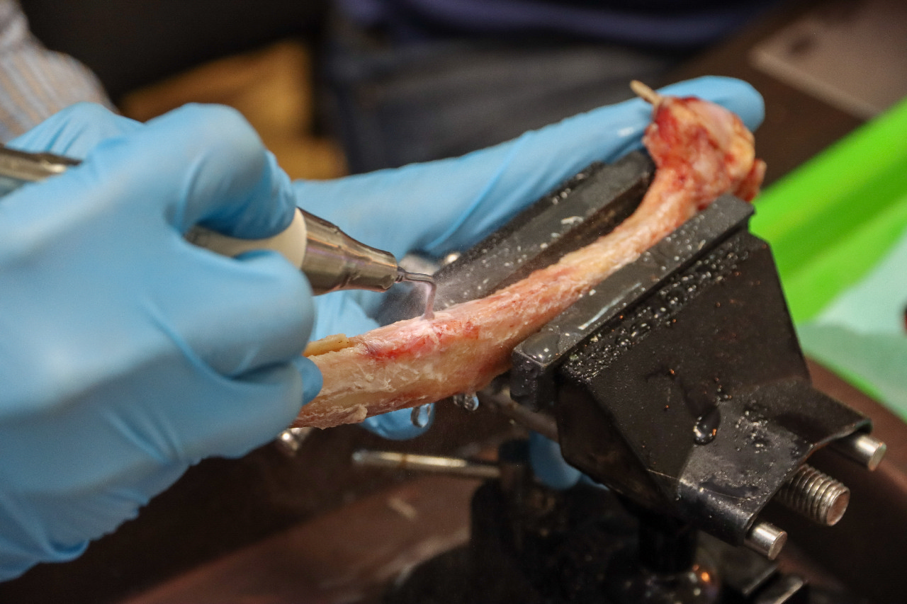 Продвинутый курс по имплантации: костная пластика и синус-лифтинг 13-14 сентября