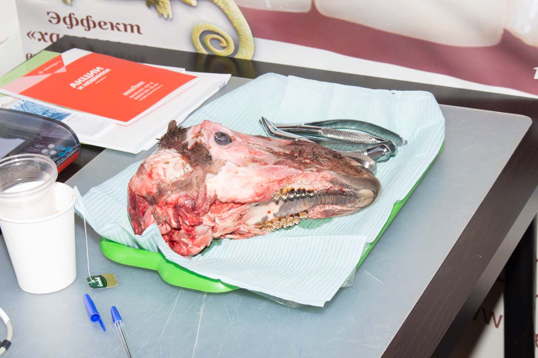 Как спасти имплантат? Стратегия и тактика в лечении периимплантита. Этиопатогенетическая и прогностическая концепции