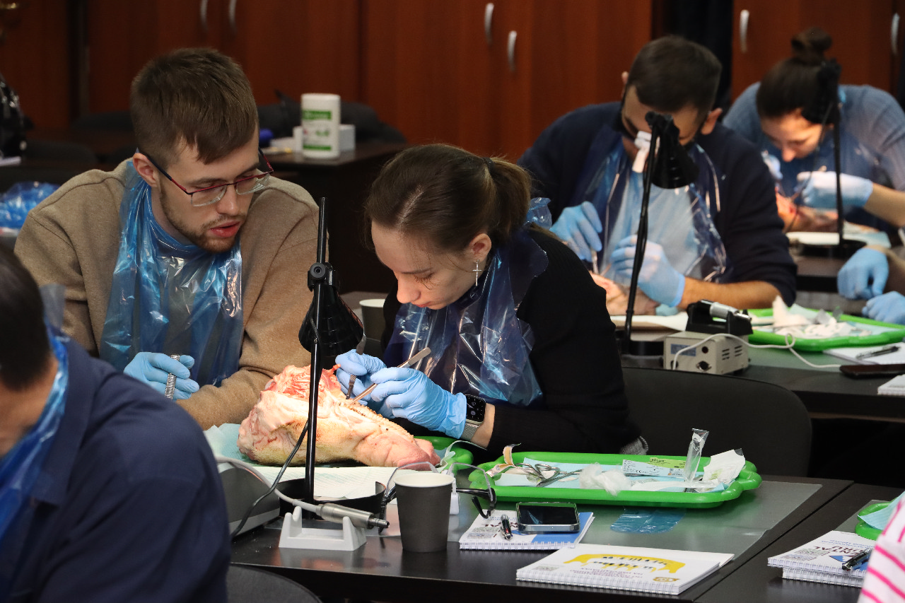 Пластика мягких тканей вокруг имплантатов. Морфологический подход