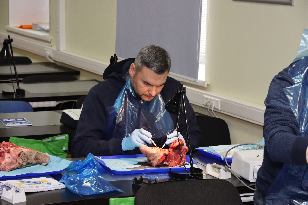 Продвинутый курс по пластике мягких тканей