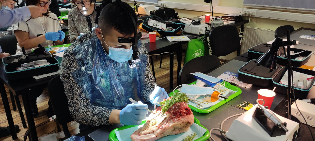 Пластика мягких тканей вокруг имплантатов. Морфологический подход