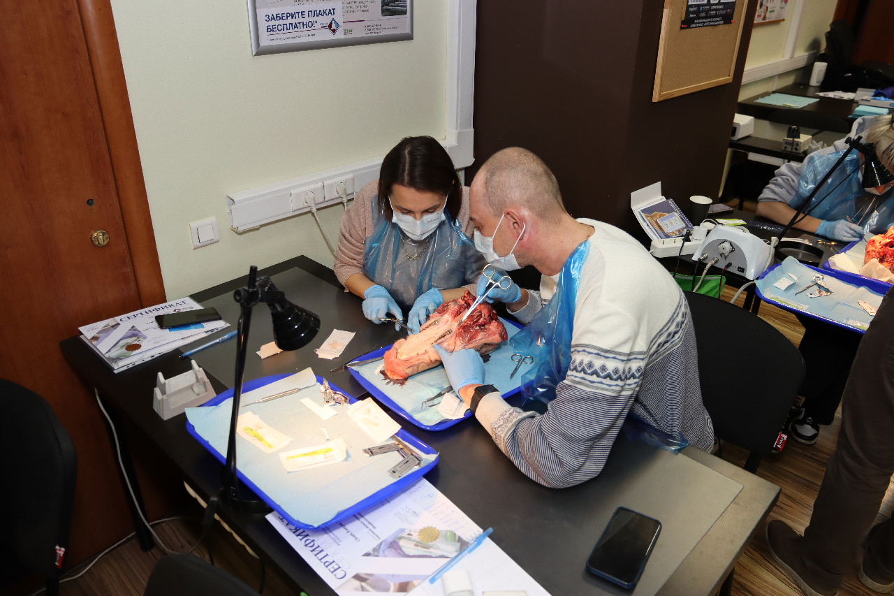 Пластика мягких тканей вокруг имплантатов. Морфологический подход