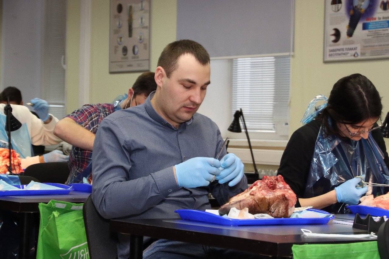 Пластика мягких тканей вокруг имплантатов. Морфологический подход