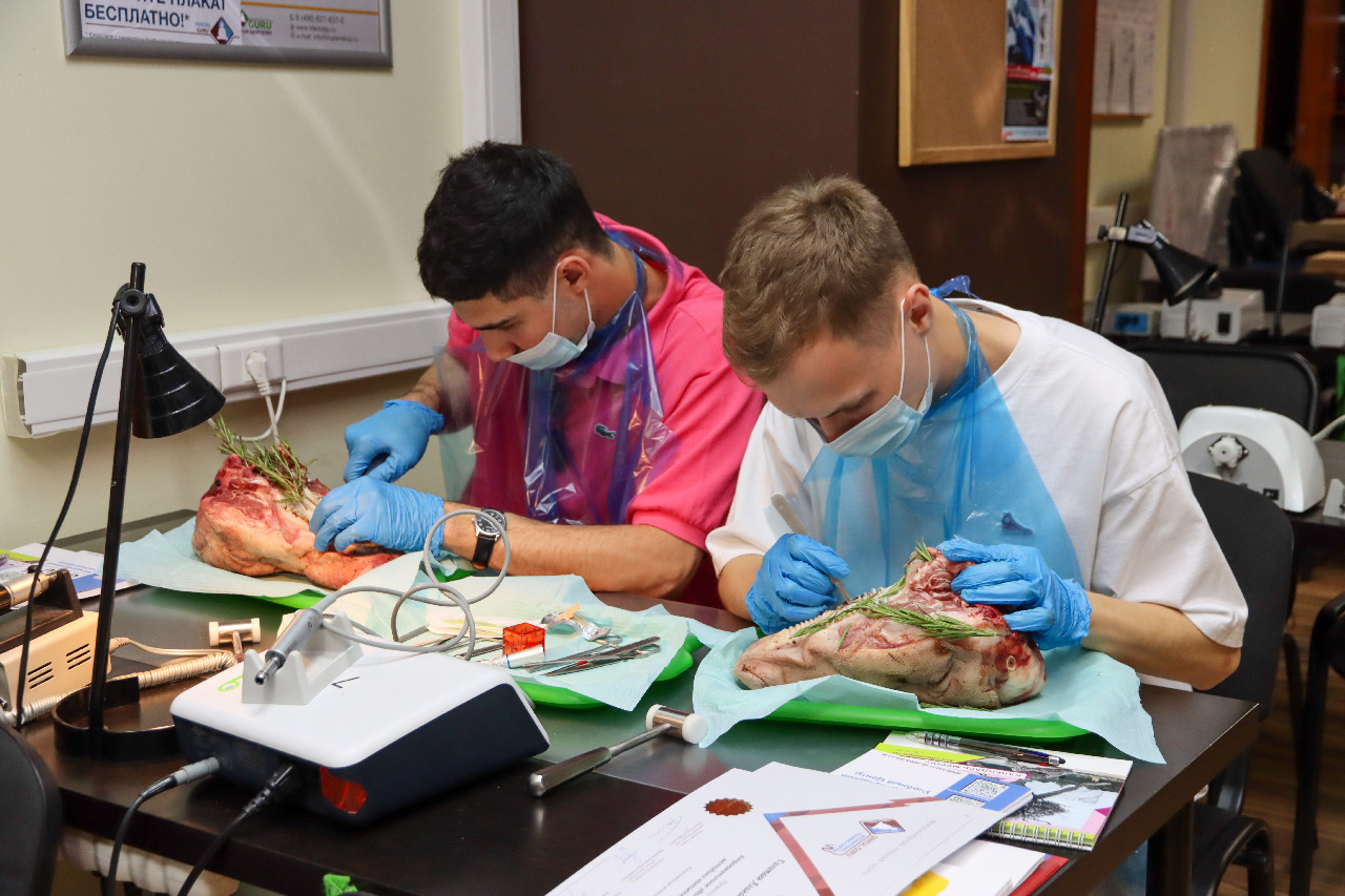 Атравматичное удаление зубов и методики наложения швов