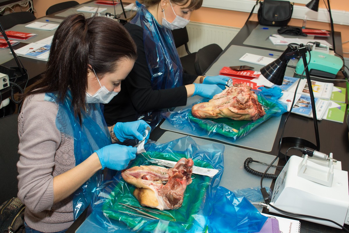 13-14 ноября. Хирургический курс по пародонтологии. Ерохин А.И.