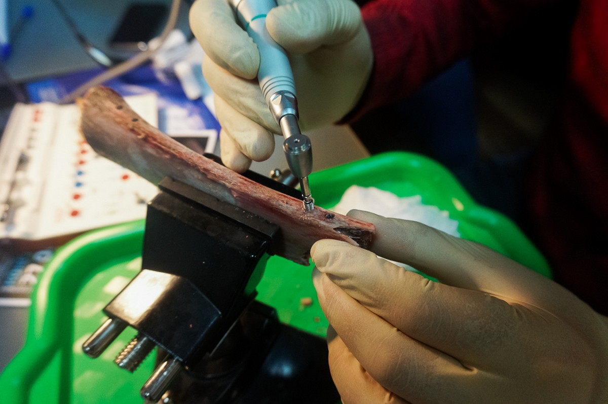 Базовый курс по имплантации