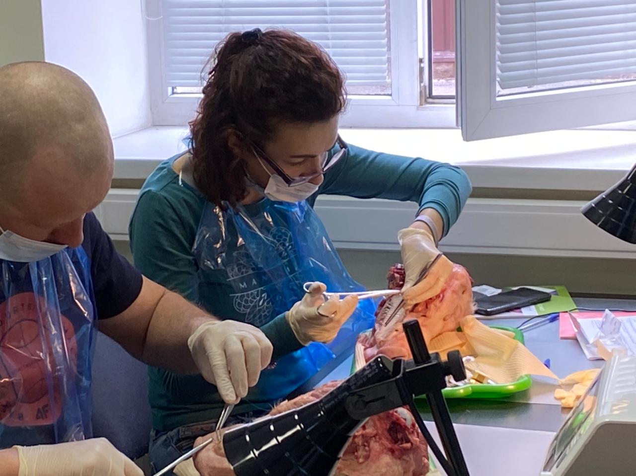 Пластика мягких тканей вокруг имплантатов. Морфологический подход