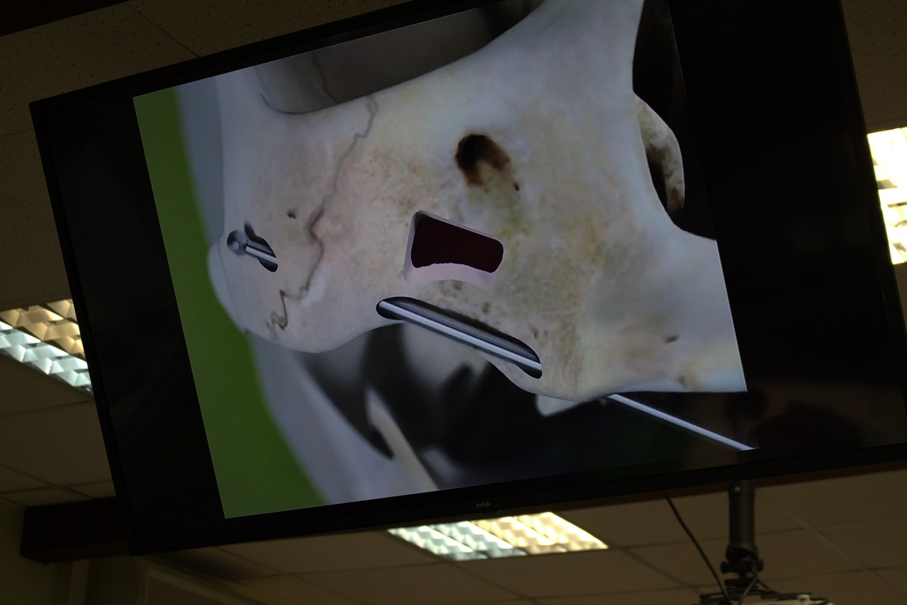 Пост-релиз. Кадавер-курс 1 марта