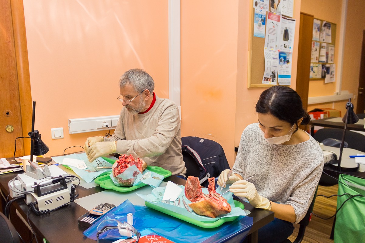 Пластика мягких тканей вокруг имплантатов. Морфологический подход - курс Виталия Панцулаи в УЦ Дентал Гуру.