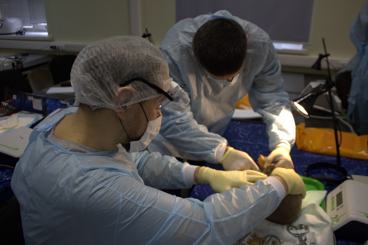 Пост-релиз. Кадавер-курс 1 марта