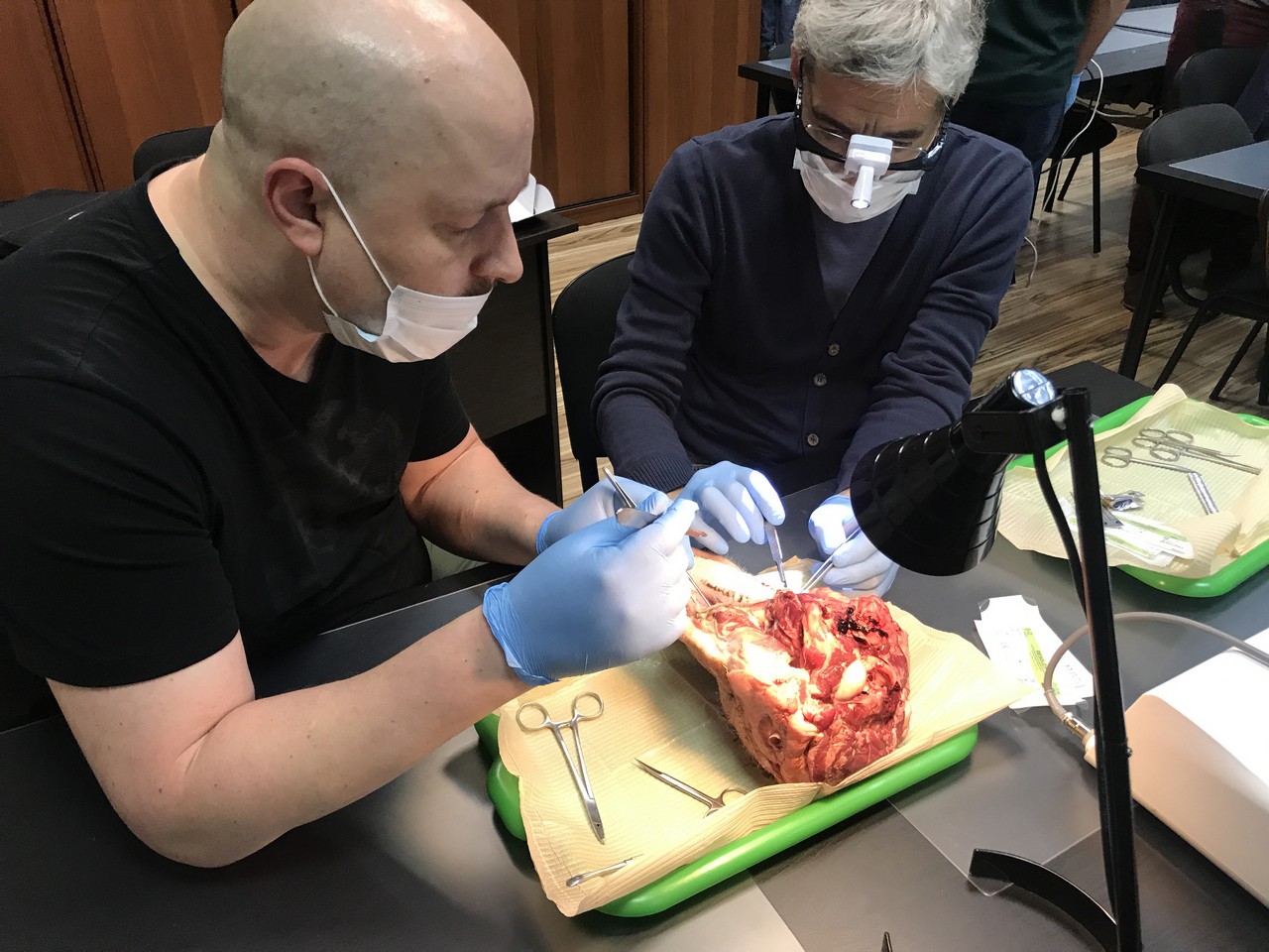 Пластика мягких тканей вокруг имплантатов. Морфологический подход. Пост-релиз 9-10 июня