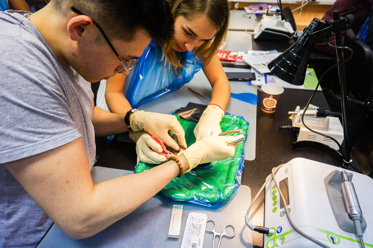 Атравматичное удаление зубов и методики наложения швов. 17 августа 2019г.