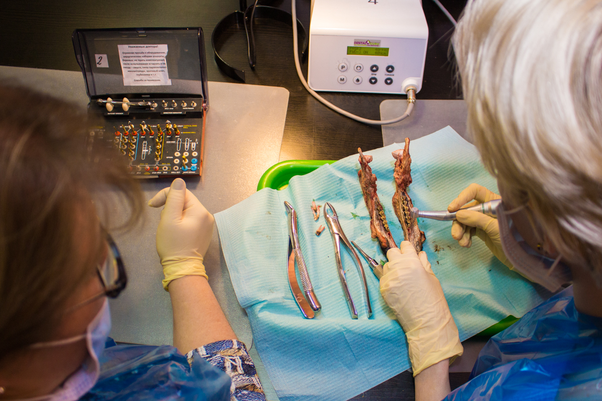 Одномоментная имплантация и немедленная нагрузка. 3 февраля 2020