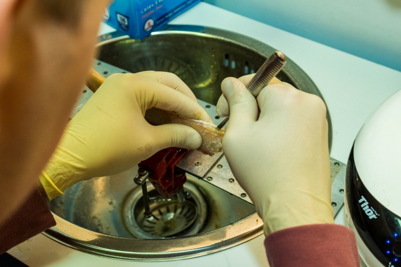 Продвинутый курс по имплантации. Костная пластика