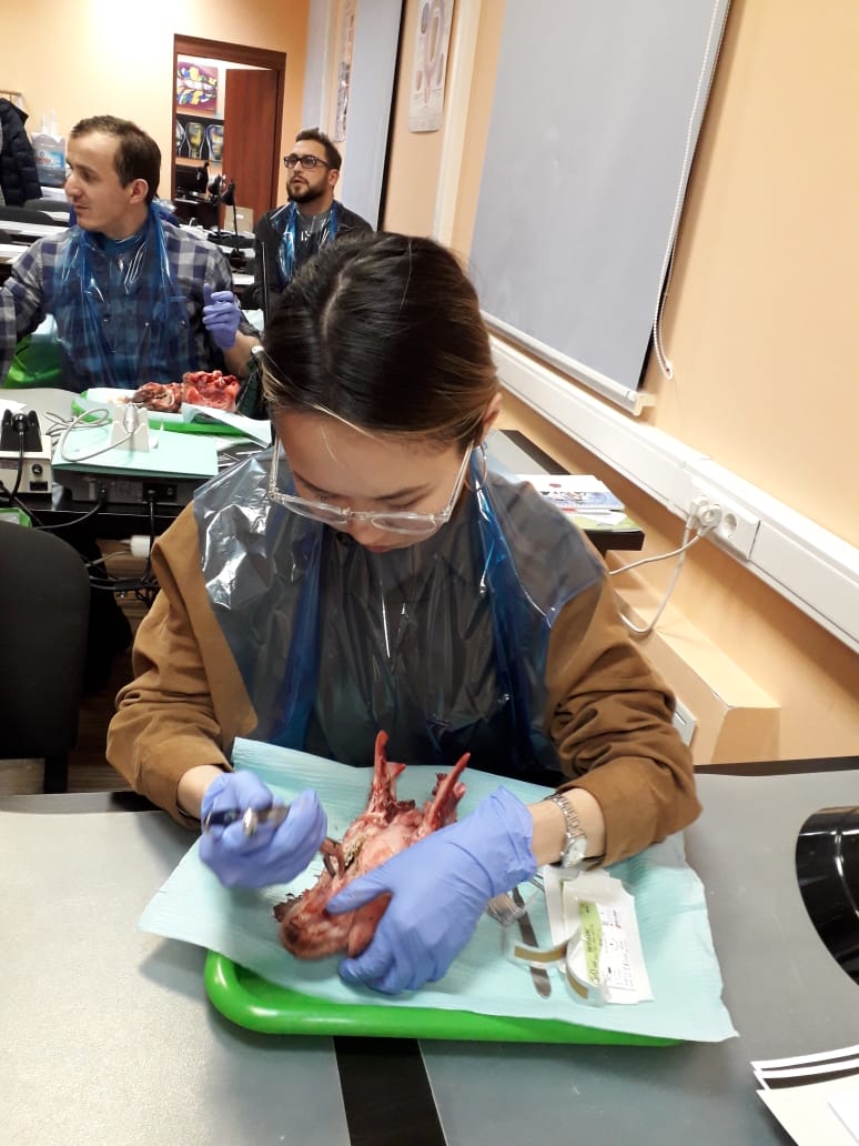 Атравматичное удаление зубов и методики наложения швов