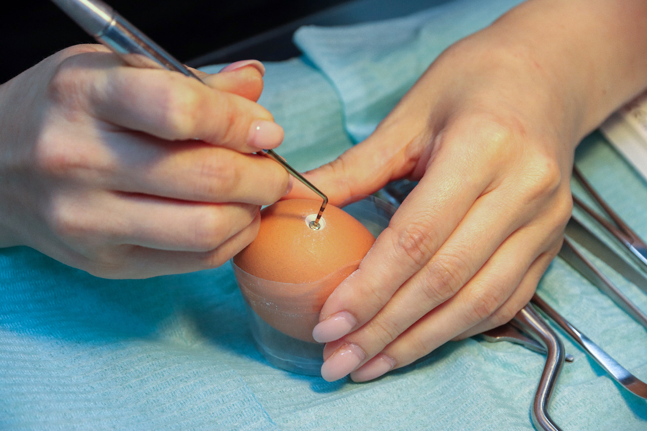 Продвинутый курс по имплантации