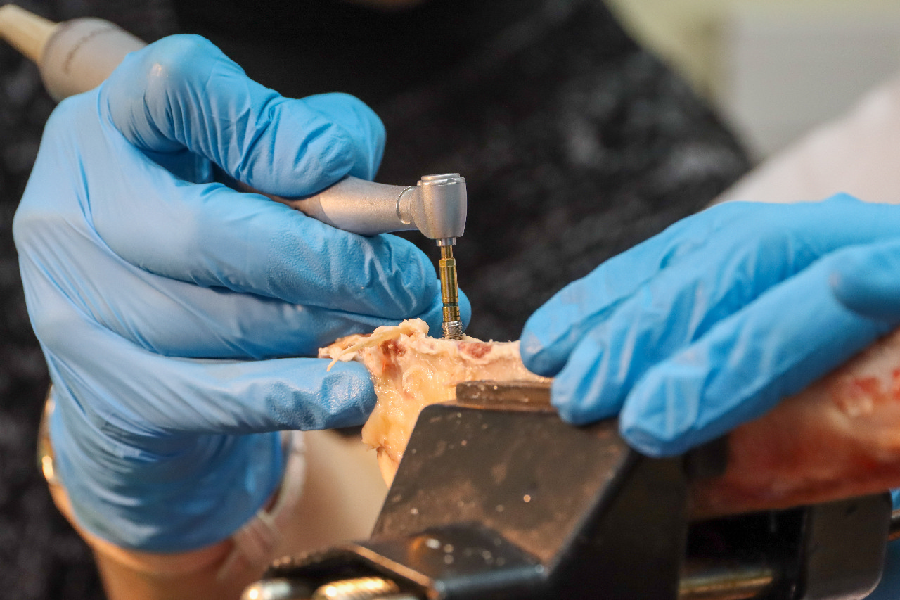 Продвинутый курс по имплантации: костная пластика и синус-лифтинг 13-14 сентября