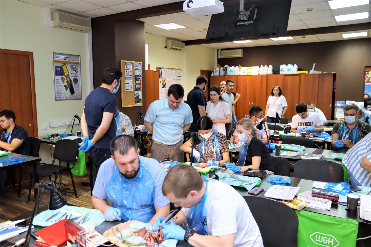 Одномоментная имплантация и немедленная нагрузка