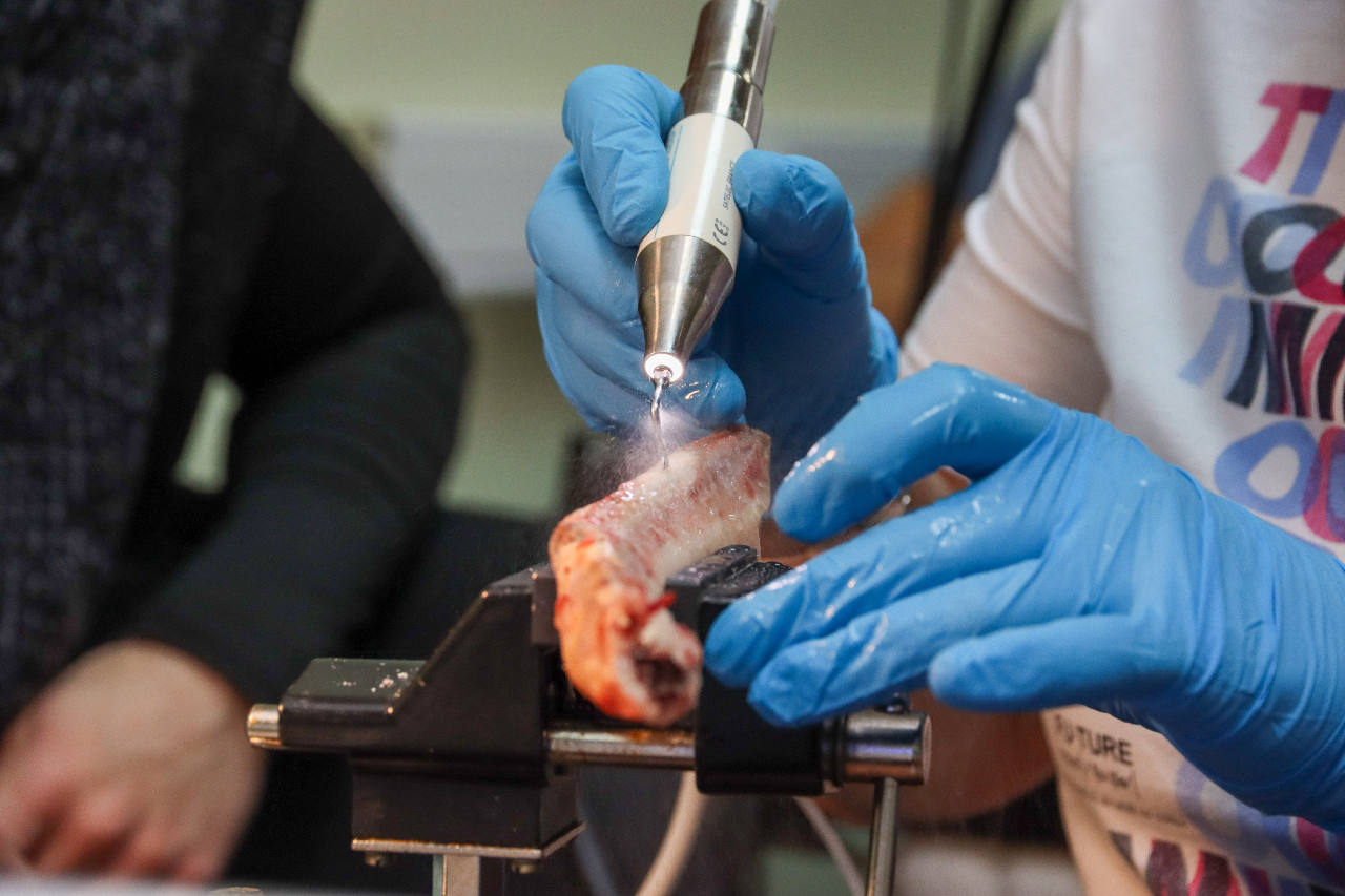 Продвинутый курс по имплантации: костная пластика и синус-лифтинг 13-14 сентября