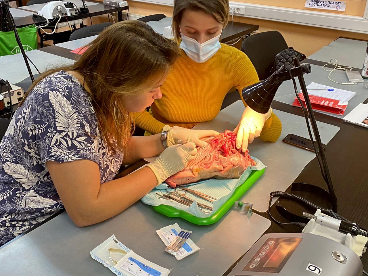 Хирургический курс по пародонтологии 17-18 октября