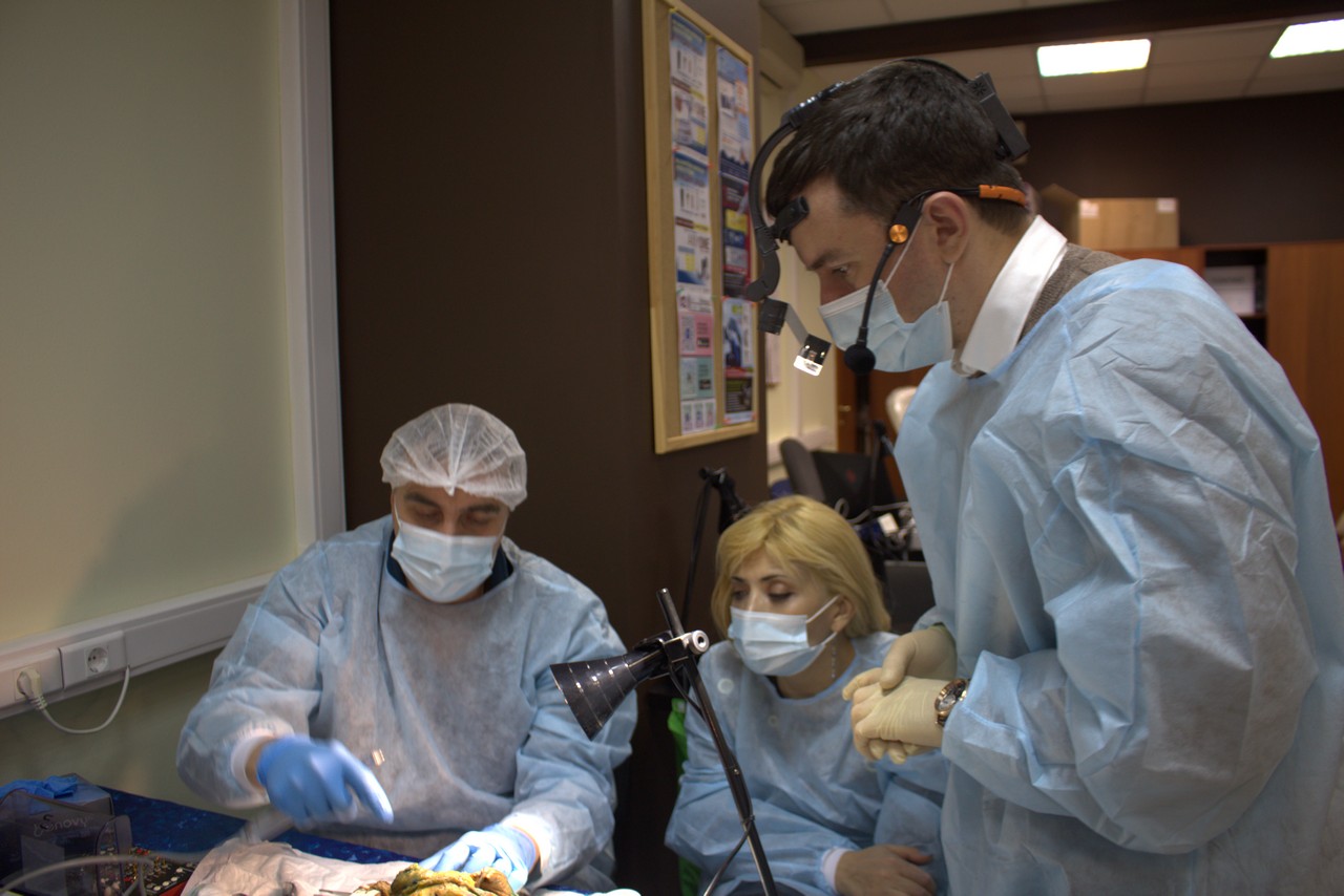 Пост-релиз. Кадавер-курс 1 марта