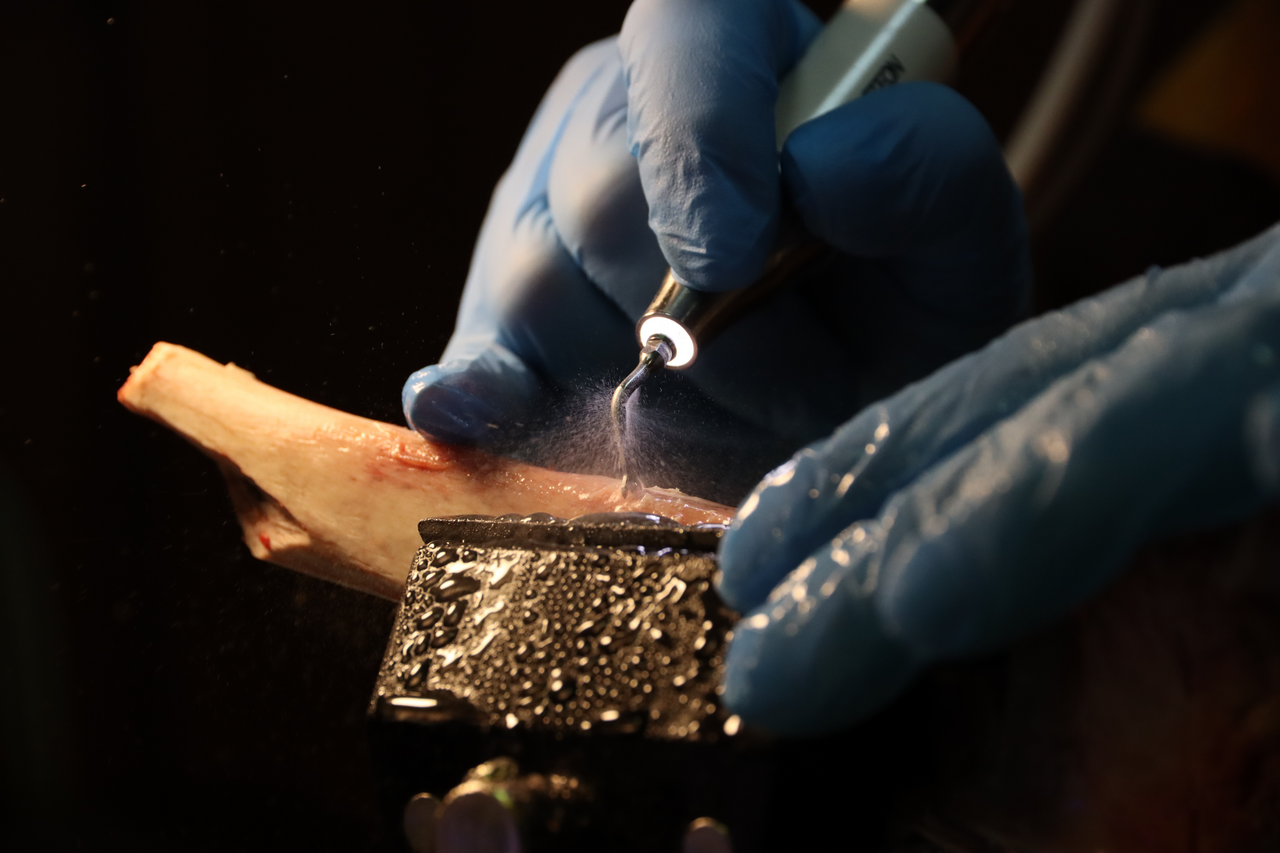 Продвинутый курс по имплантации 10-11 февраля