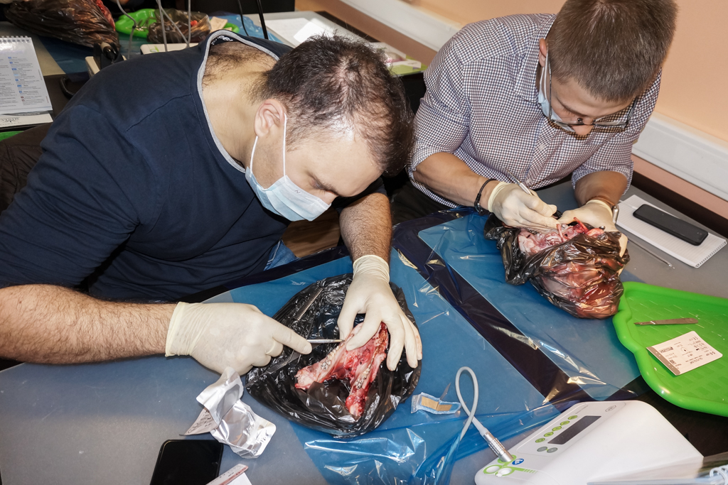 Пластика мягких тканей вокруг имплантатов