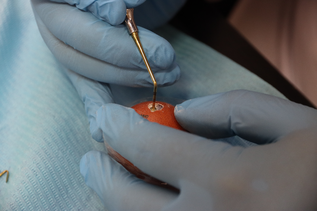 Продвинутый курс по имплантации