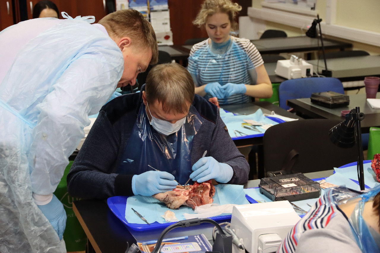 Продвинутый курс по пластике мягких тканей