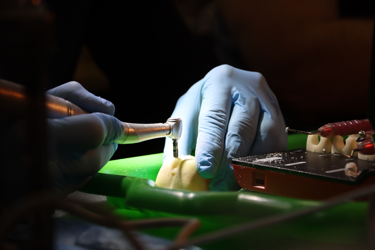 Продвинутый курс по имплантации: костная пластика и синус-лифтинг