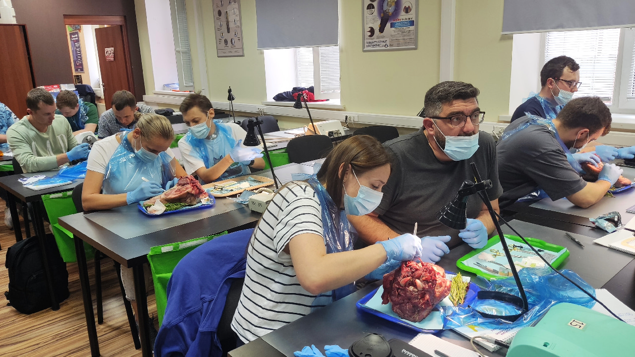 Пластика мягких тканей вокруг имплантатов. Морфологический подход