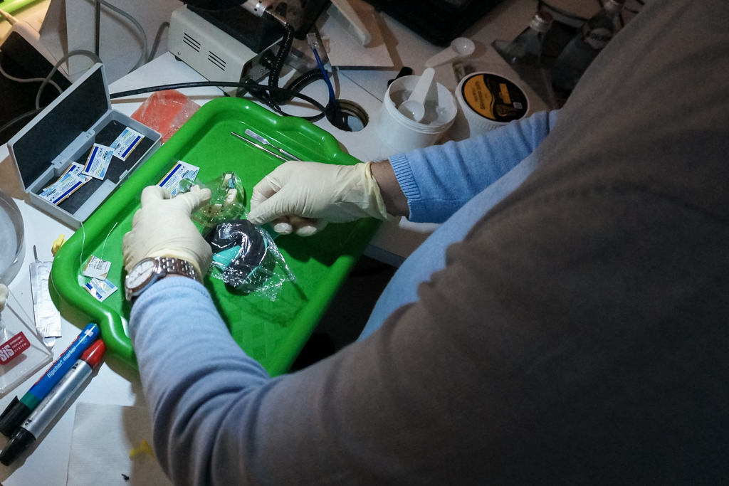 Продвинутый курс по ортопедии