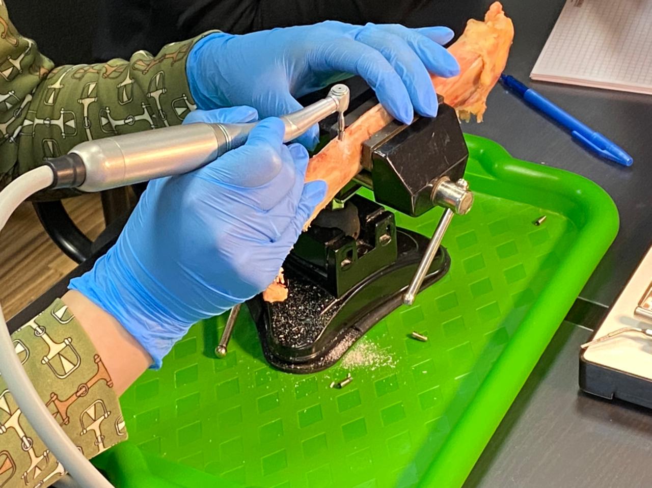 Базовый курс по имплантации. Пост-релиз 27-28 февраля