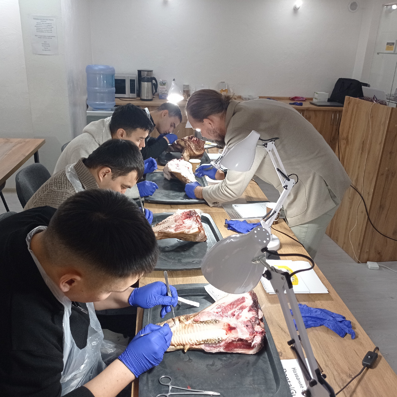 Курс Камиля Хабиева в Астане: Пластика мягких тканей вокруг имплантатов