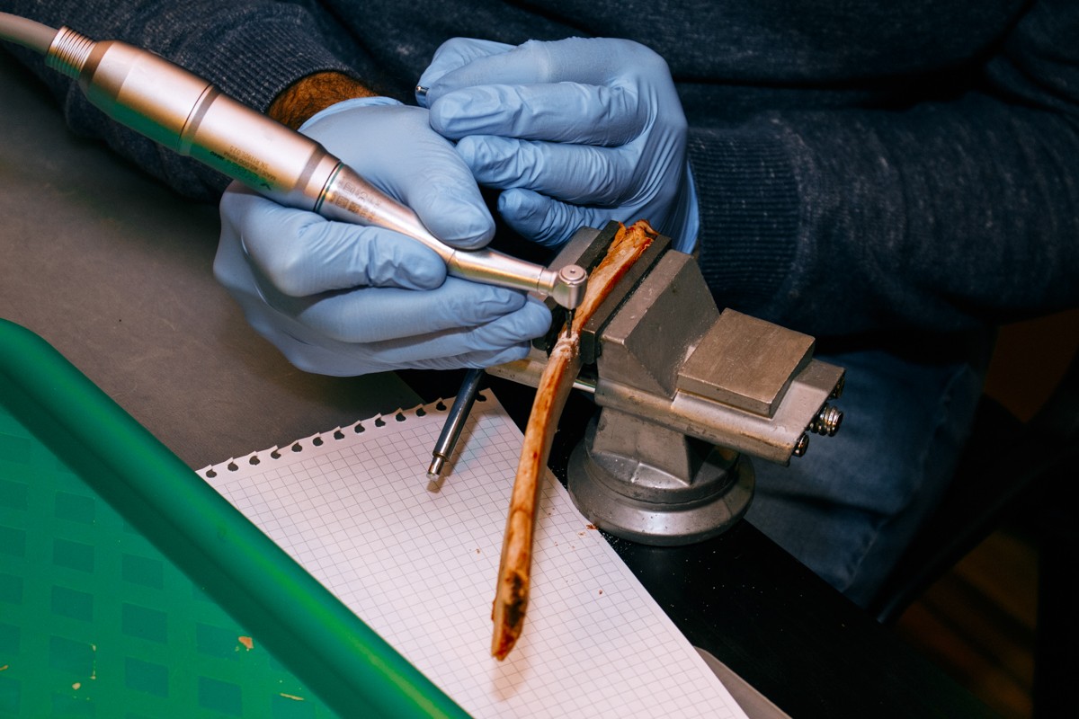 Базовый курс по имплантации, 29 и 30 ноября 2019г.