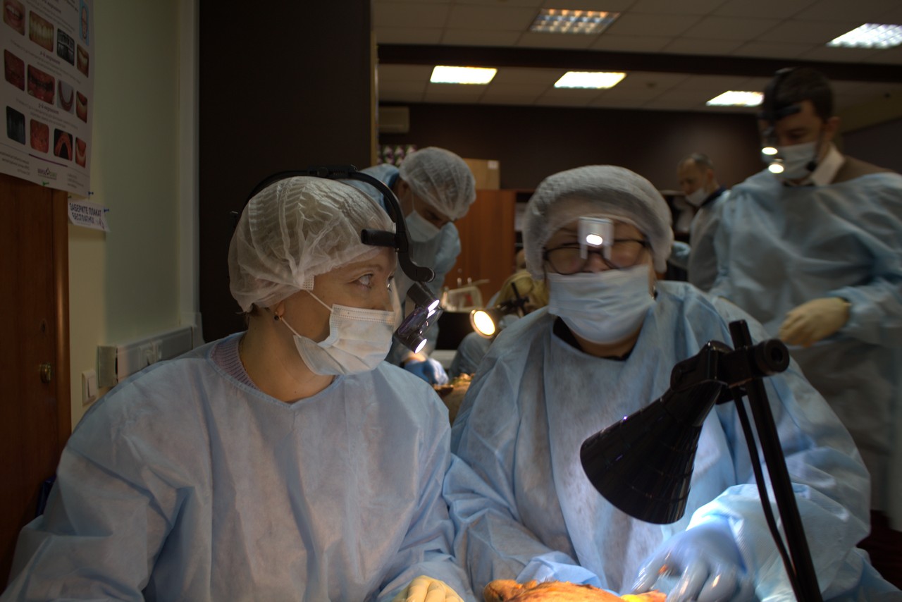 Пост-релиз. Кадавер-курс 1 марта