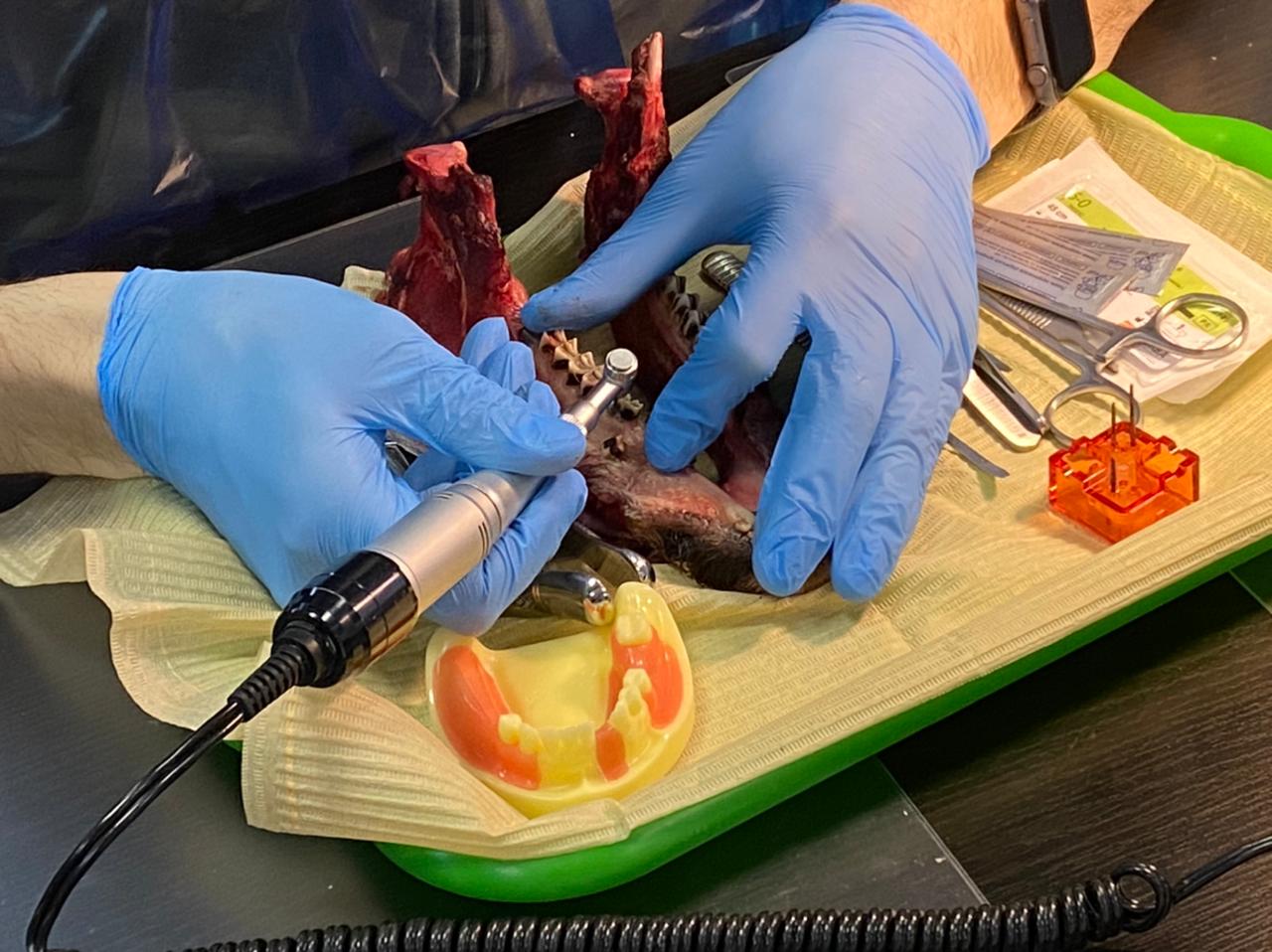 Атравматичное удаление зубов и методики наложения швов. Пост-релиз 09.04.21