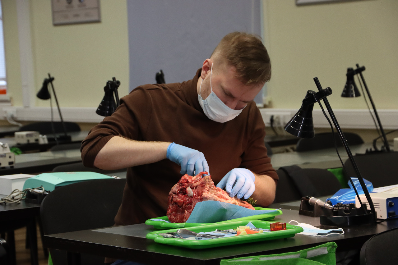 Атравматичное удаление зубов и методики наложения швов