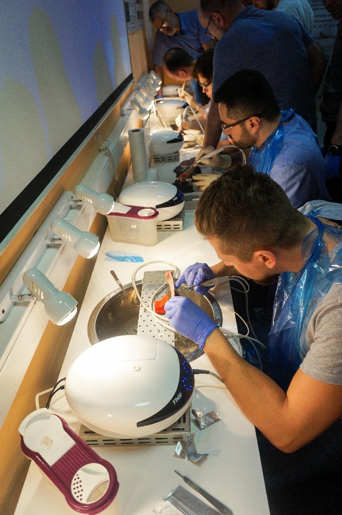 Продвинутый курс по имплантации. Костная пластика