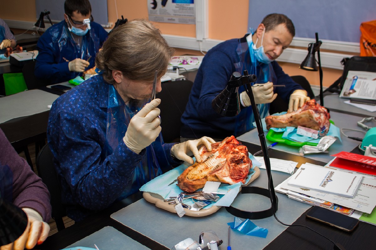 20-21 февраля 2020. Панцулая В.Г. Пластика мягких тканей вокруг имплантатов. Морфологический подход