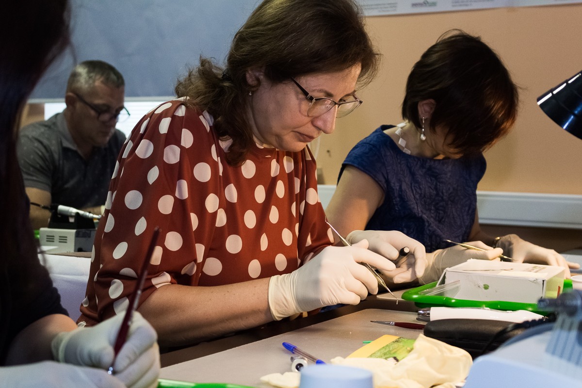 Прямые реставрации повышенной прочности. Эффективная альтернатива ортопедии стекловолоконные каркасные конструкции